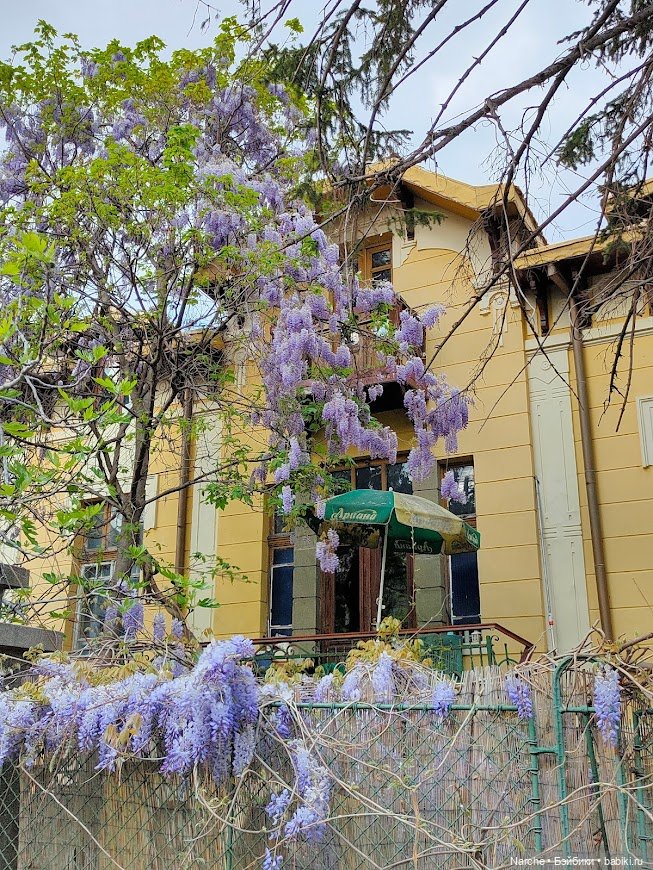 Новоселы- 17 | Бэйбики Новоселы- 17 — Коллекции винтажных кукол и игрушек: СССР