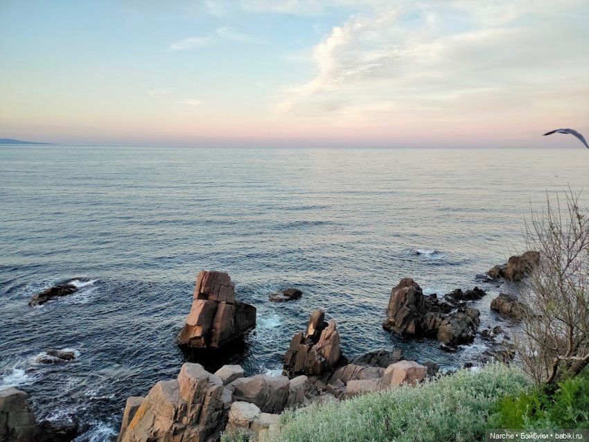 Новоселы- 17 | Бэйбики Новоселы- 17 — Коллекции винтажных кукол и игрушек: СССР