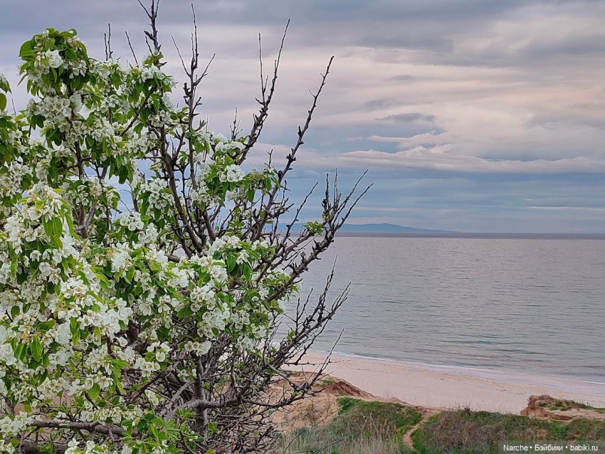 Новоселы- 17 | Бэйбики Новоселы- 17 — Коллекции винтажных кукол и игрушек: СССР