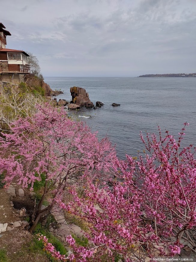 Новоселы- 17 | Бэйбики Новоселы- 17 — Коллекции винтажных кукол и игрушек: СССР