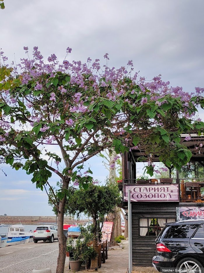 Новоселы - 18 — Коллекции винтажных кукол и игрушек: СССР