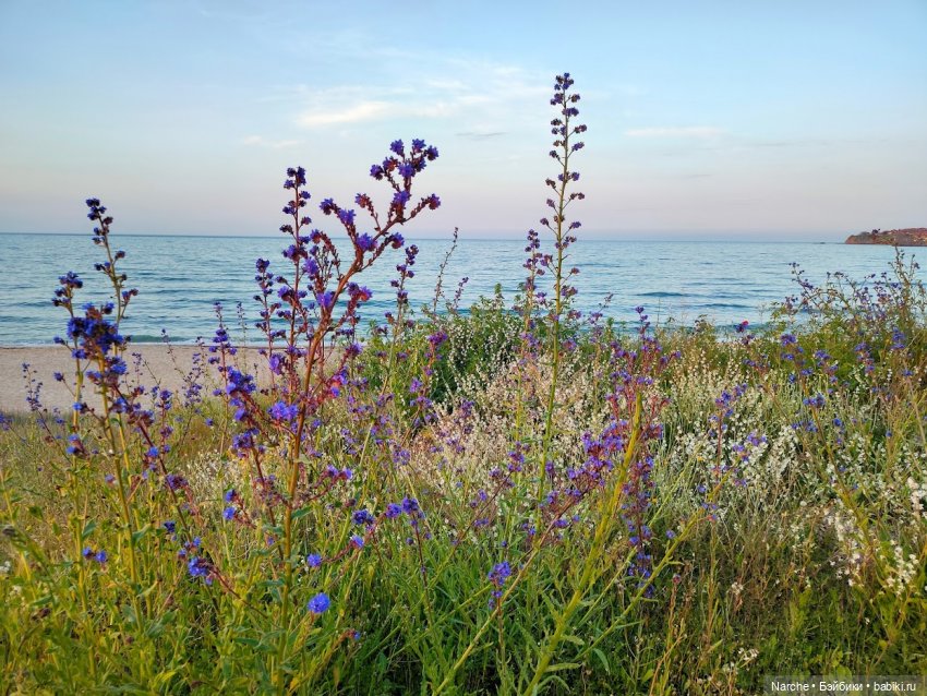 Новоселы из ГДР — Винтажные куклы ГДР (Немки): Бигги