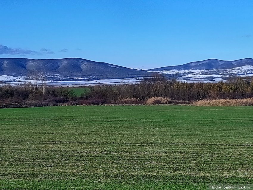 Новоселы- 21 — Винтажные куклы ГДР (Немки): Бигги