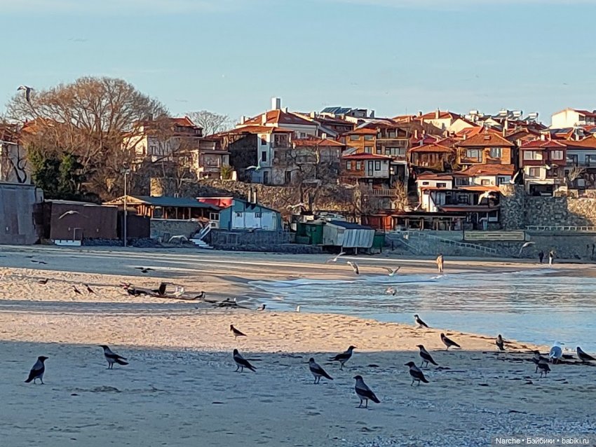 Новоселы - 22 | Бэйбики Новоселы - 22 — Коллекции винтажных кукол и игрушек: СССР