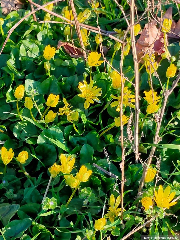 Новоселы - 23 — Коллекции винтажных кукол и игрушек: СССР