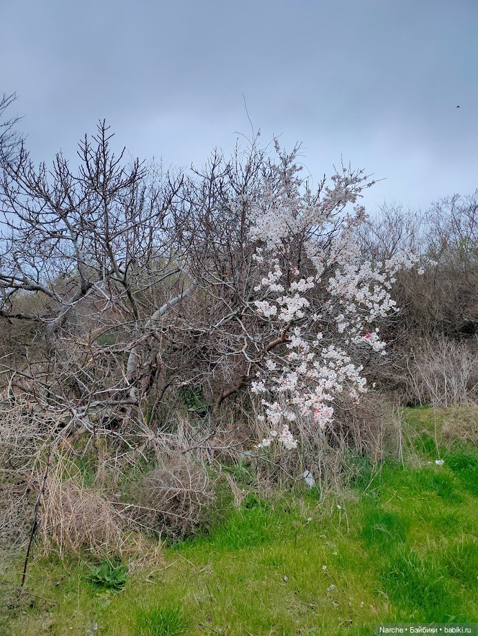 Новоселы - 23 — Коллекции винтажных кукол и игрушек: СССР (фото 9)