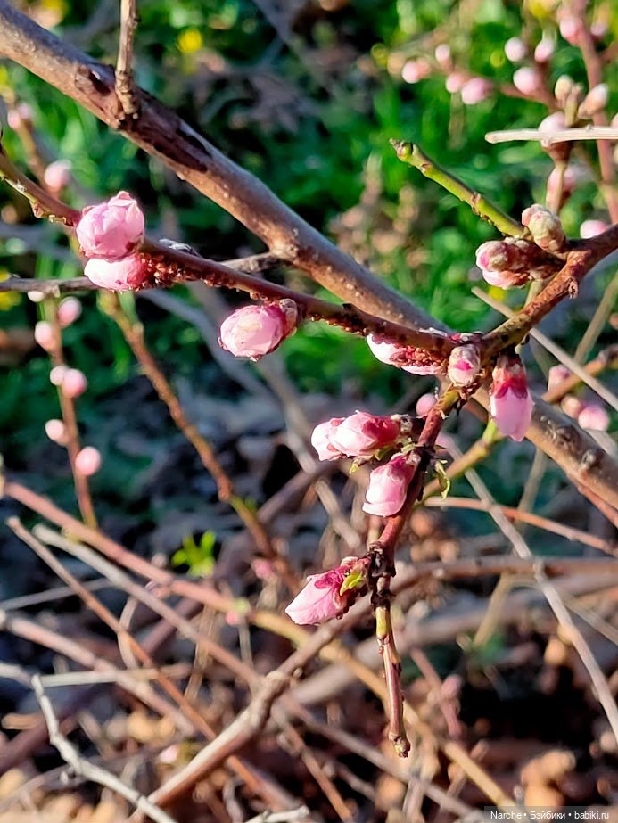 Новоселы - 23 — Коллекции винтажных кукол и игрушек: СССР