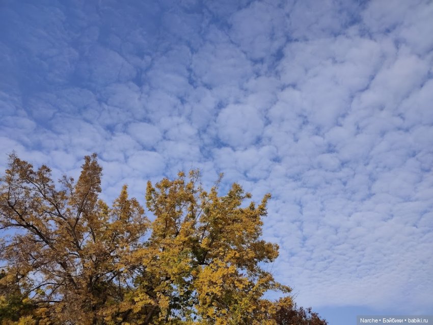 Новоселы- 26 — Винтажные куклы ГДР (Немки): Бигги