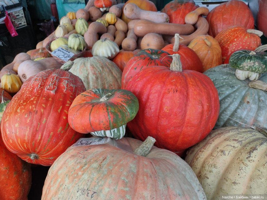 Новоселы- 26 — Винтажные куклы ГДР (Немки): Бигги