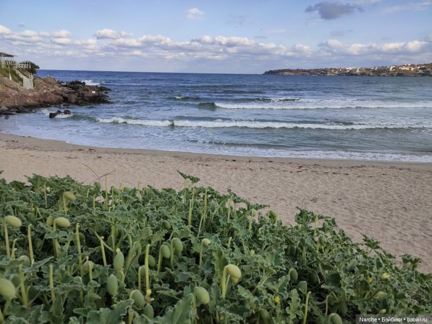 Новоселы- 27 — Винтажные куклы ГДР (Немки): Бигги (фото 9)