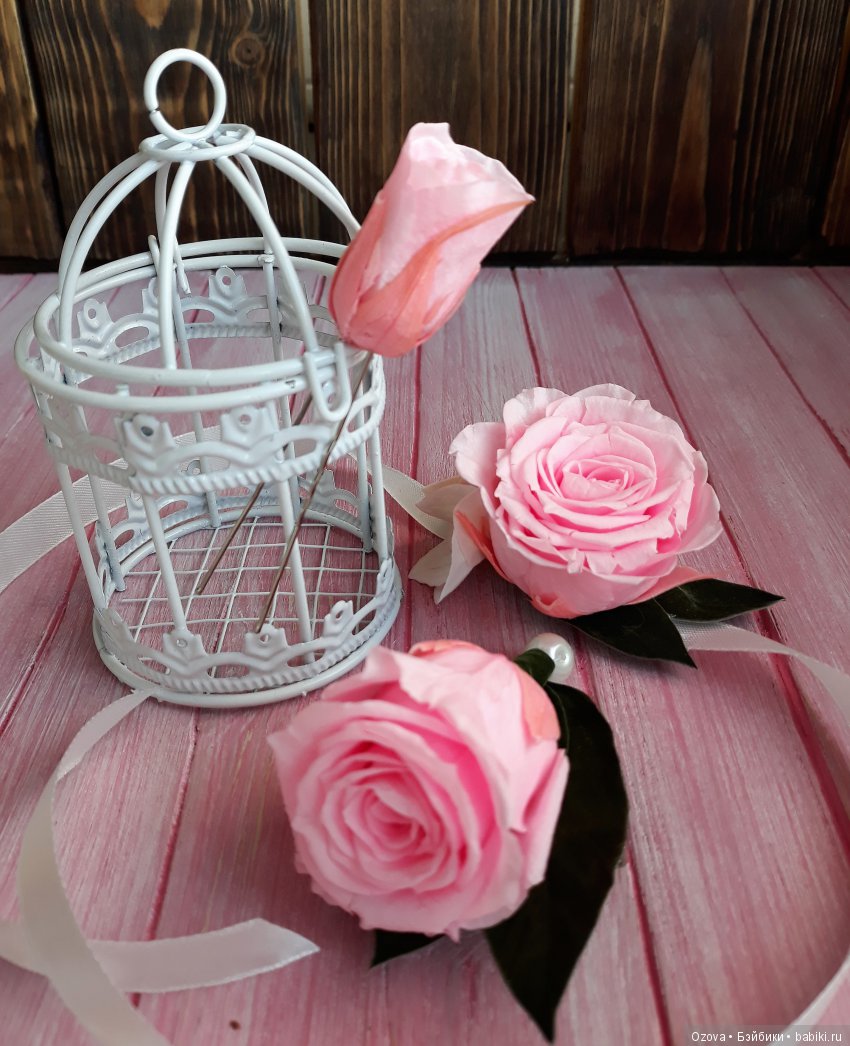 Флористическое чудо – стабилизированные растения (фото 7)