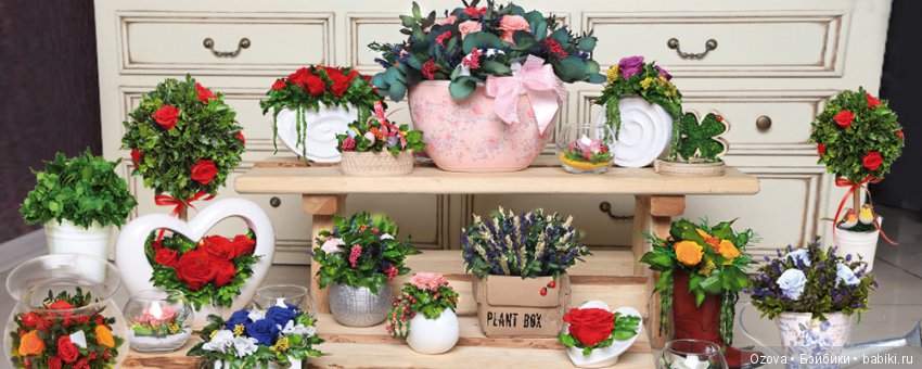 Флористическое чудо – стабилизированные растения (фото 5)