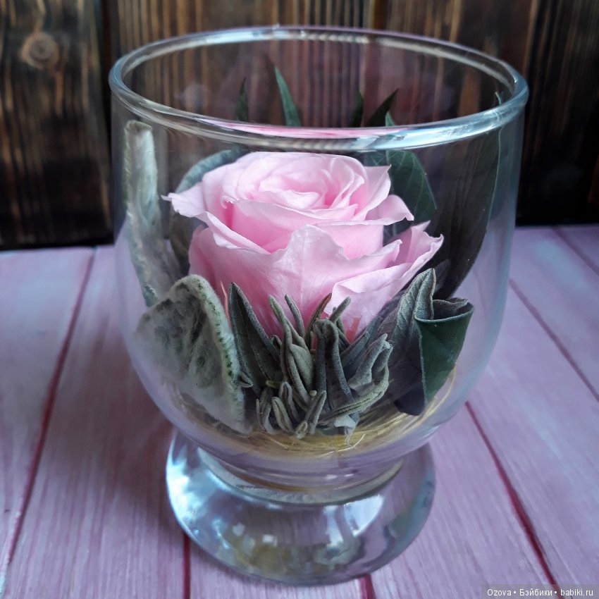 Флористическое чудо – стабилизированные растения