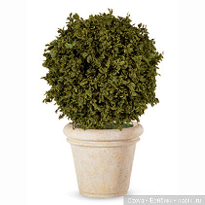 Стабилизированный питоспорум