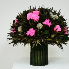 Флористическое чудо – стабилизированные растения