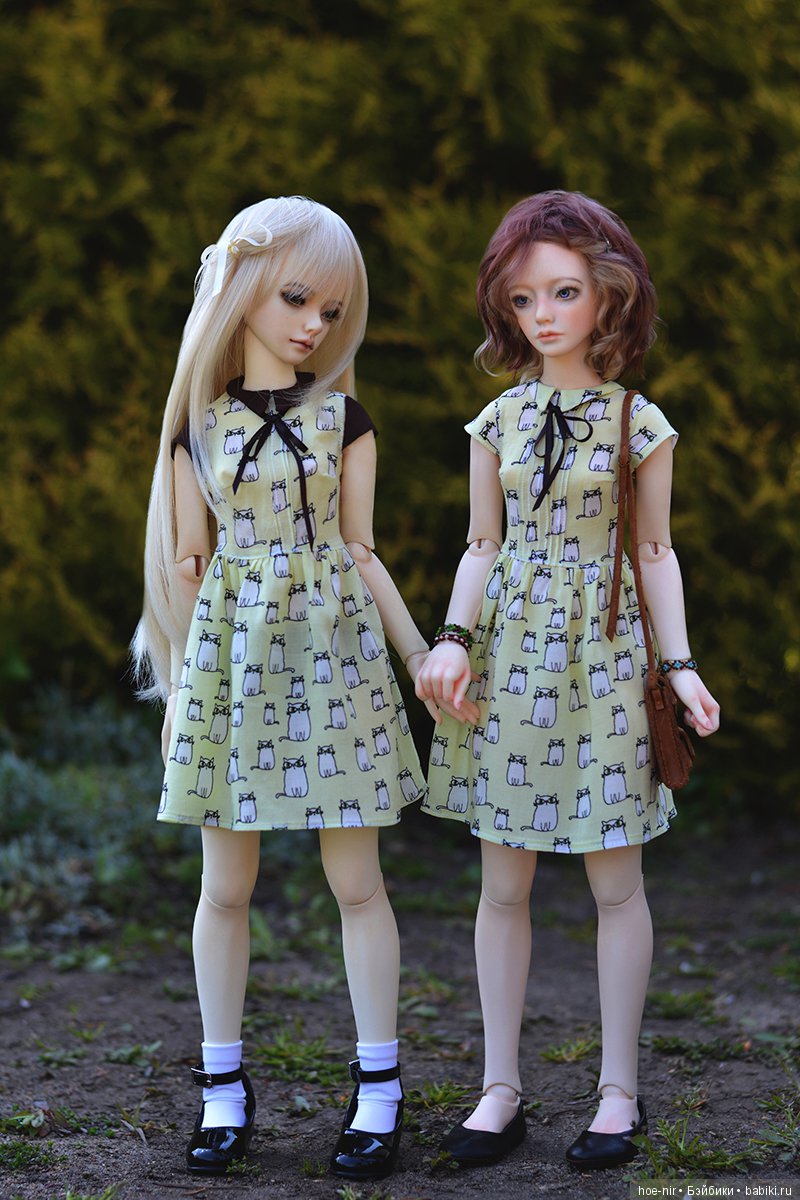 zaoll luv hoe-nir