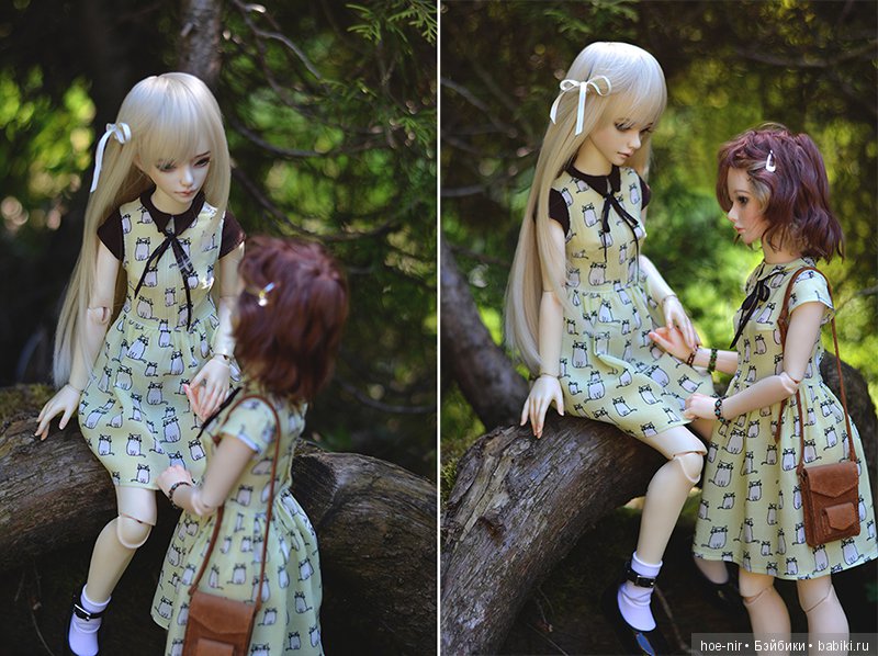 zaoll luv hoe-nir