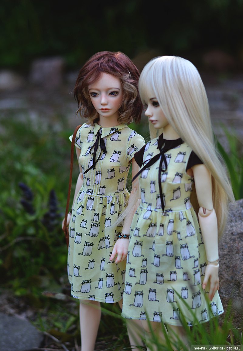 zaoll luv hoe-nir