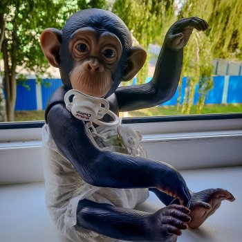 Обезьянка Луна