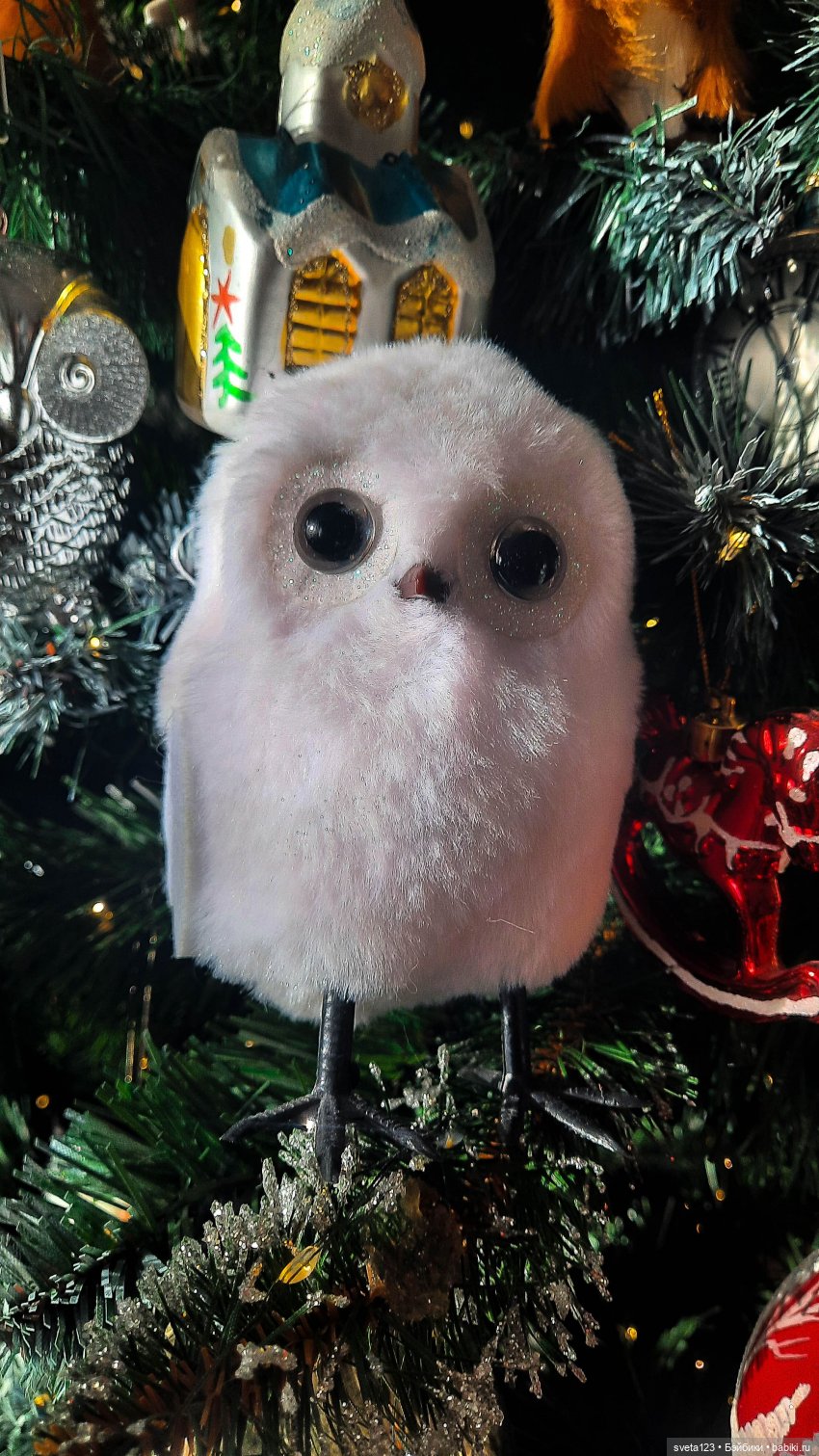 Елочные совушки — Интересное и необычное: фотоподборки