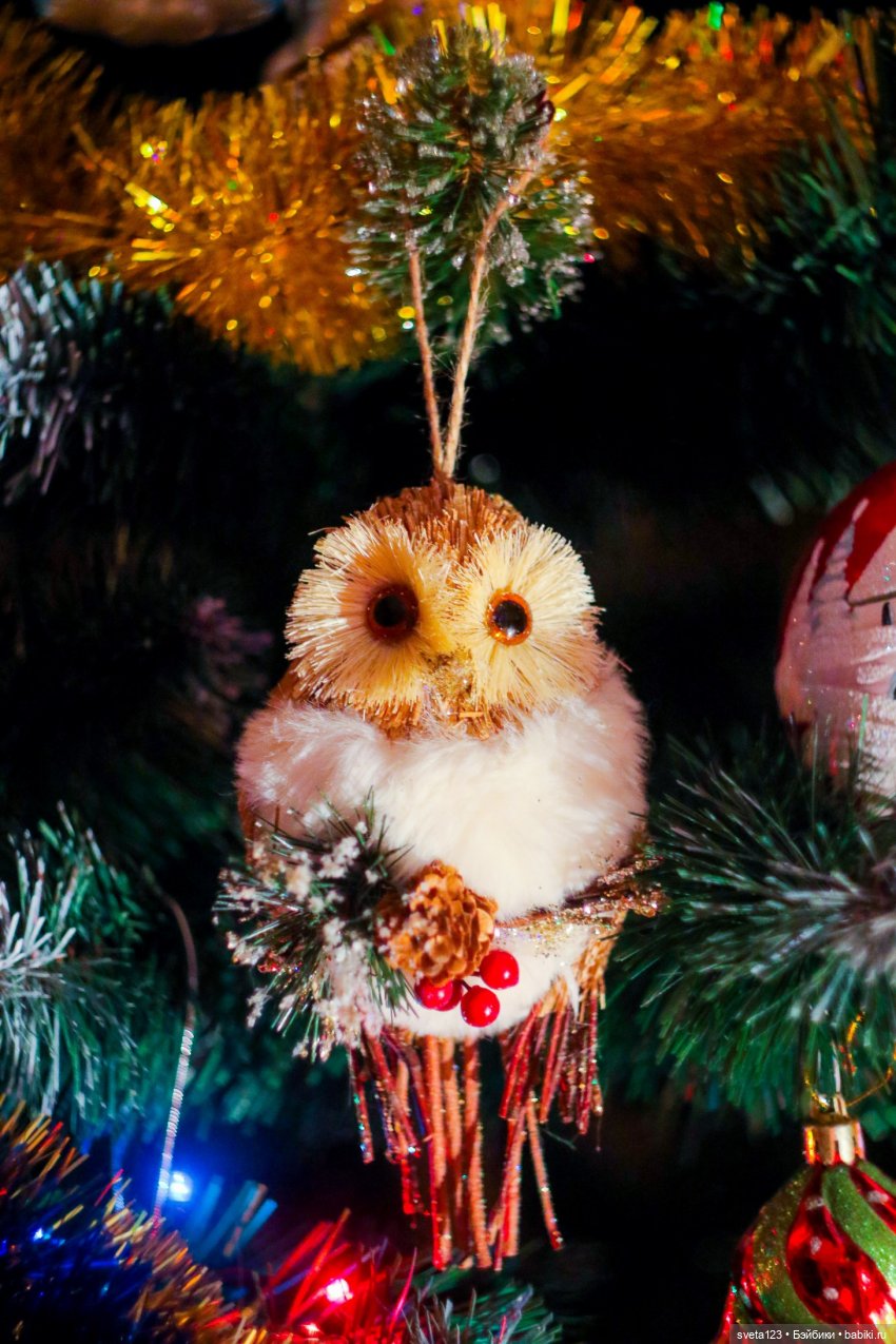 Елочные совушки — Интересное и необычное: фотоподборки