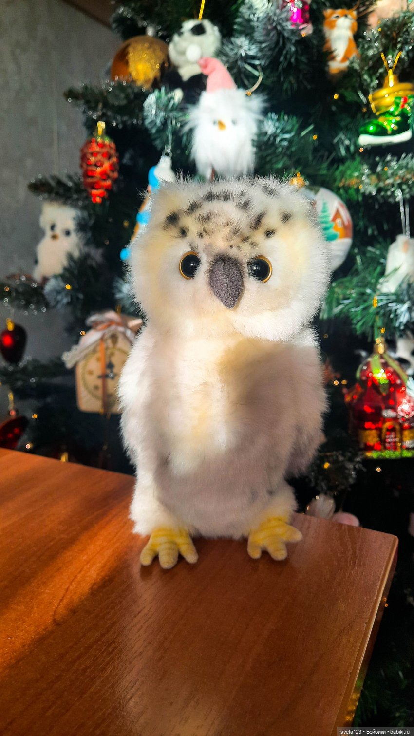 Елочные совушки — Интересное и необычное: фотоподборки (фото 7)