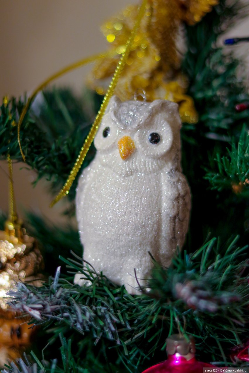 Елочные совушки — Интересное и необычное: фотоподборки