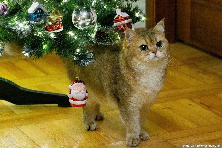 Моя большая елочка — Куклы Schildkrot (Шильдкрет): современные