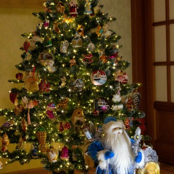 Моя большая елочка