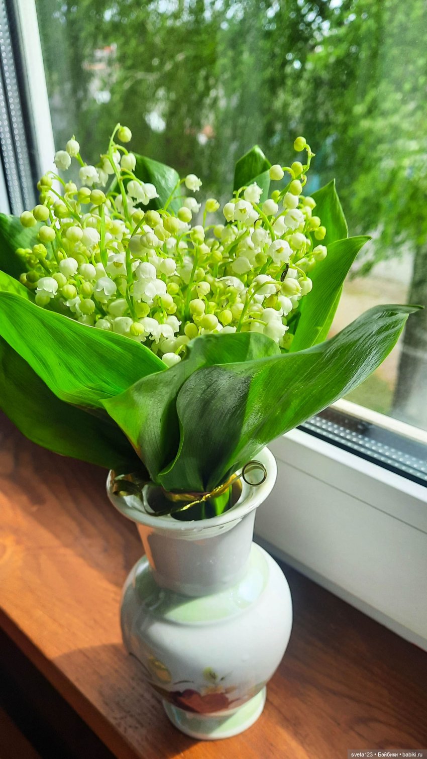 Моя новая минуш Ава (Луиза) 🌺🌺🌺