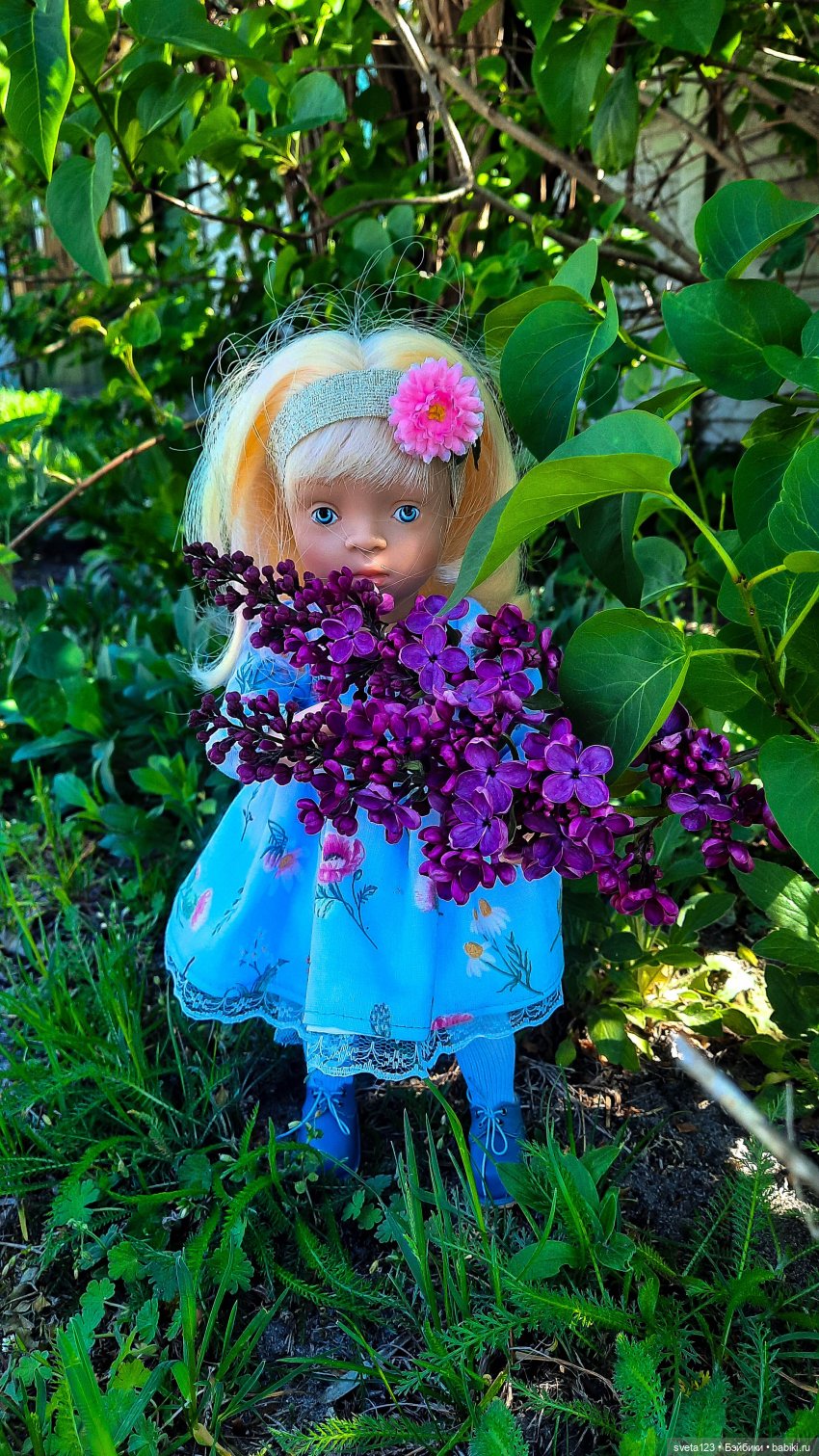 Моя новая минуш Ава (Луиза) 🌺🌺🌺