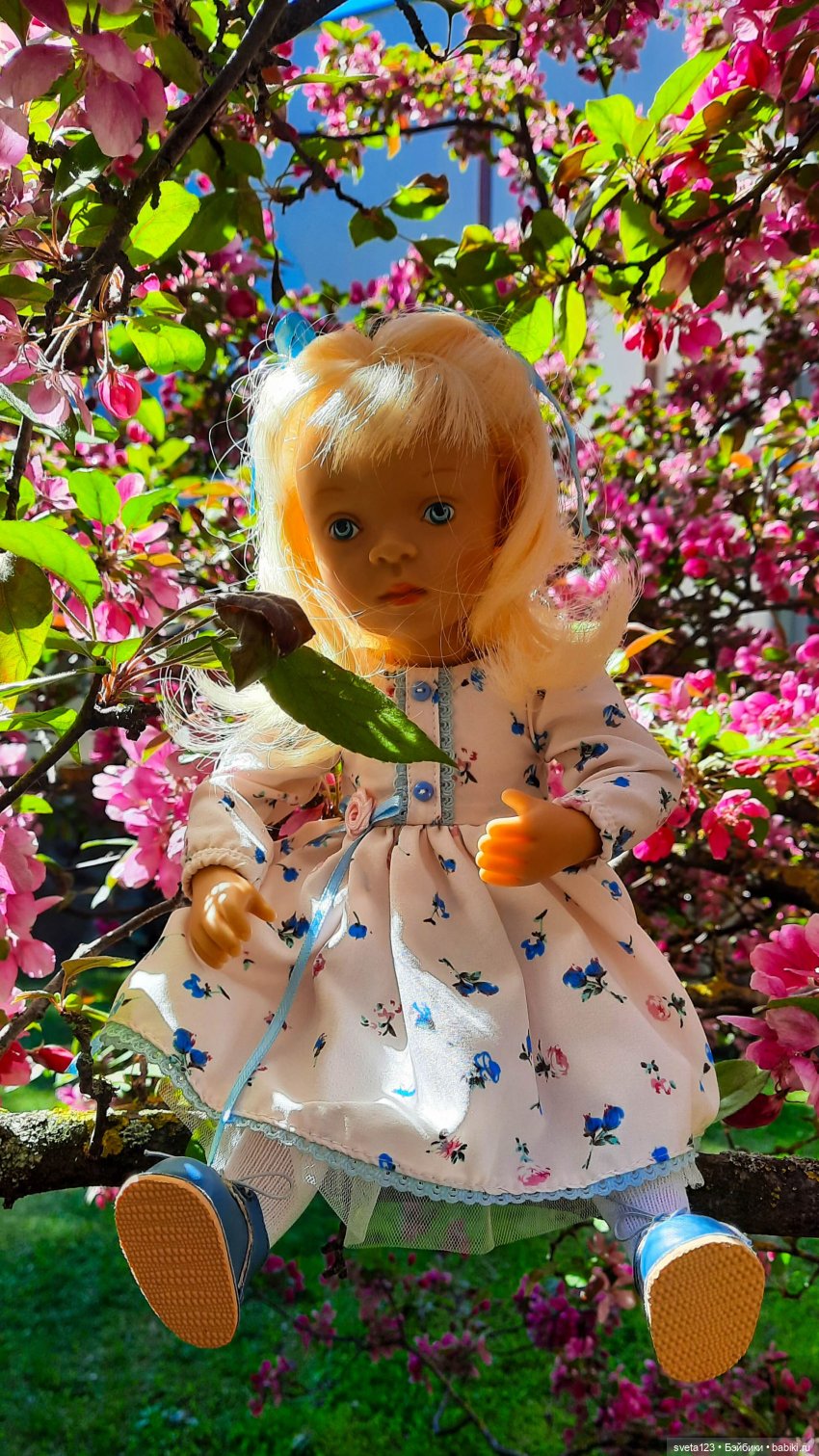 Моя новая минуш Ава (Луиза) 🌺🌺🌺