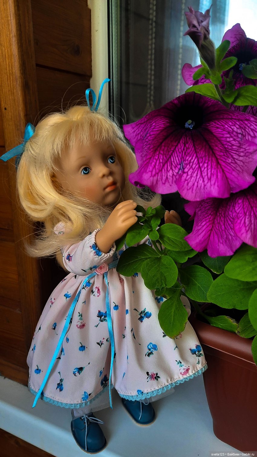 Моя новая минуш Ава (Луиза) 🌺🌺🌺 (фото 2)