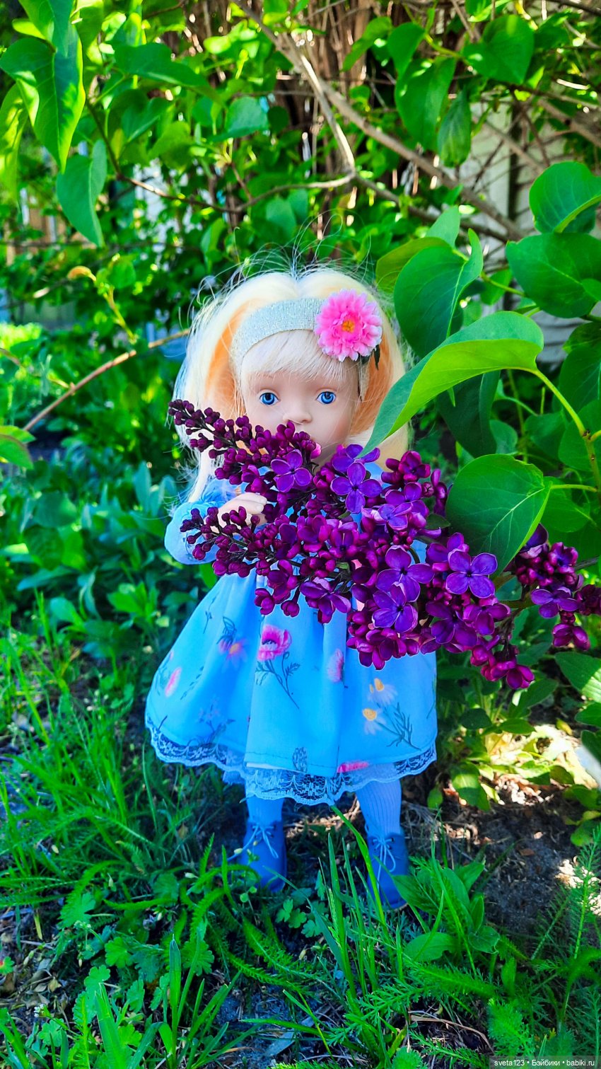 Моя новая минуш Ава (Луиза) 🌺🌺🌺