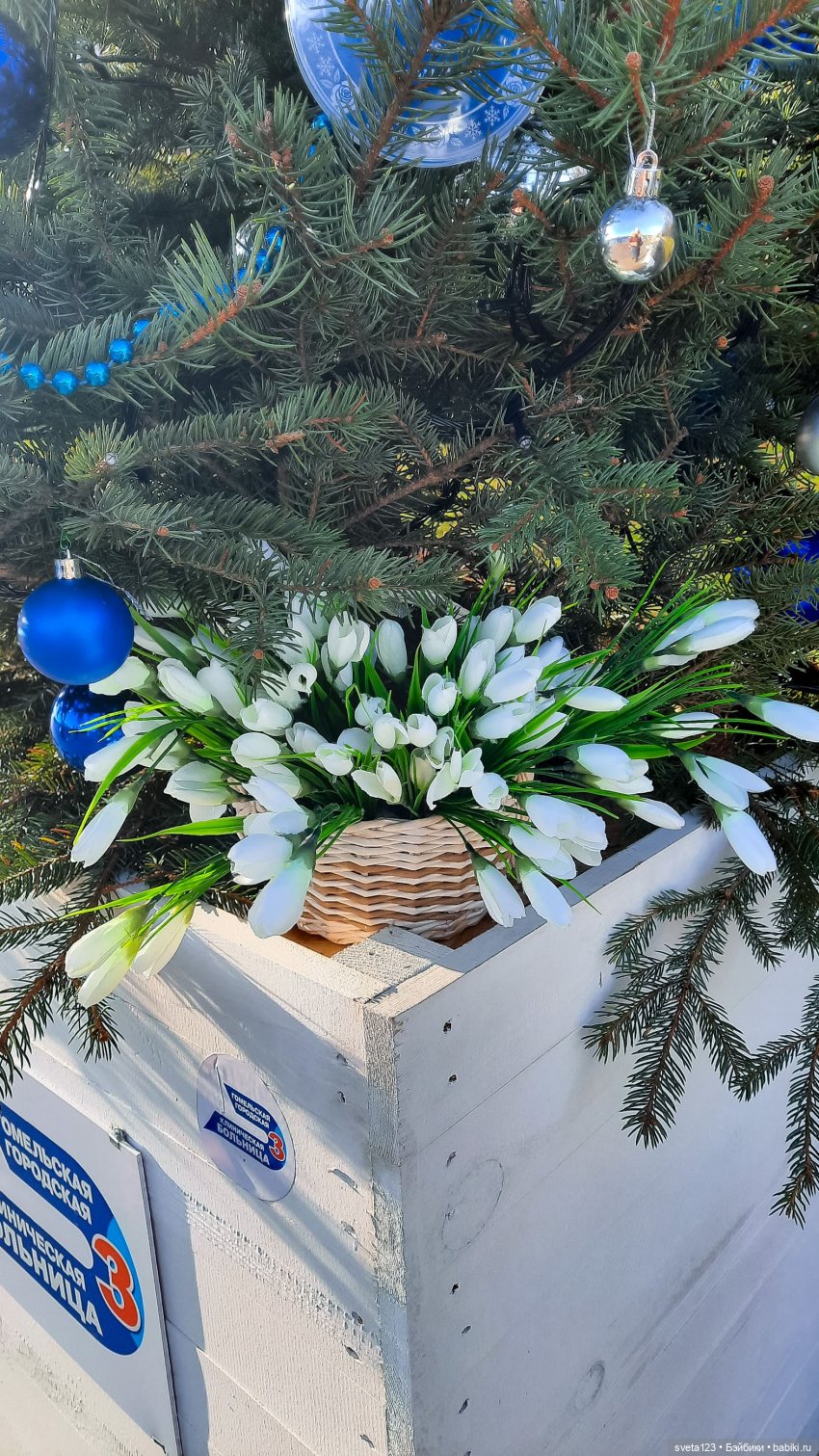 Елки на набережной 🎄🎄🎄 — Куклы Gotz (Готц): Ханна