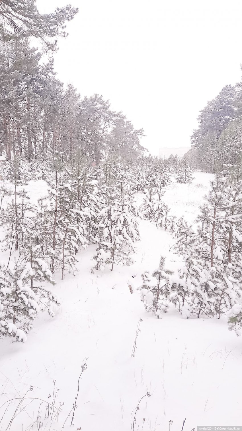 Снежная королева ❄️❄️❄️ — Куклы Paola Reina (Паола Рейна): новинки (фото 6)