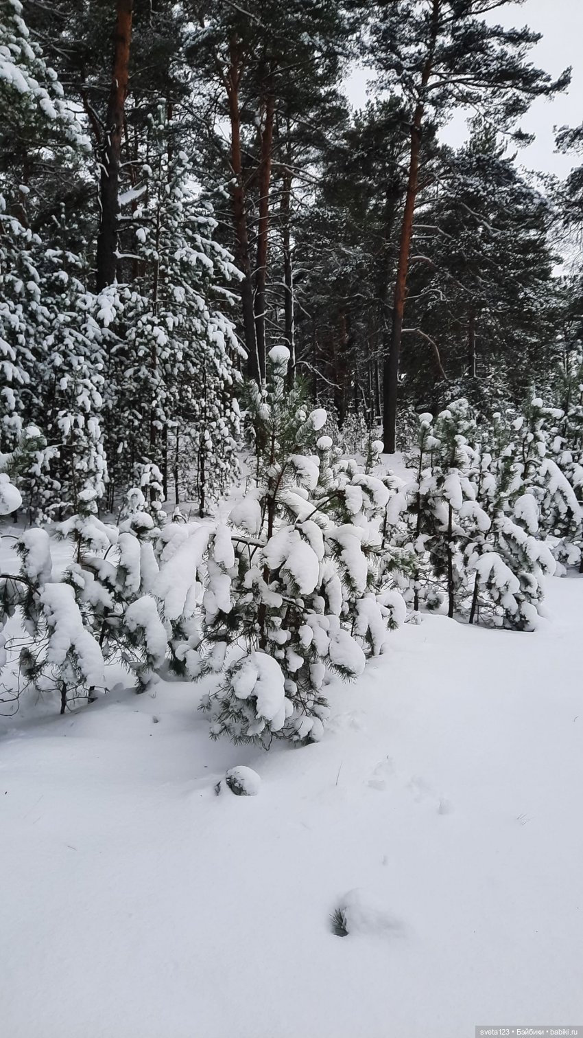 Снежная королева ❄️❄️❄️ — Куклы Paola Reina (Паола Рейна): новинки (фото 3)