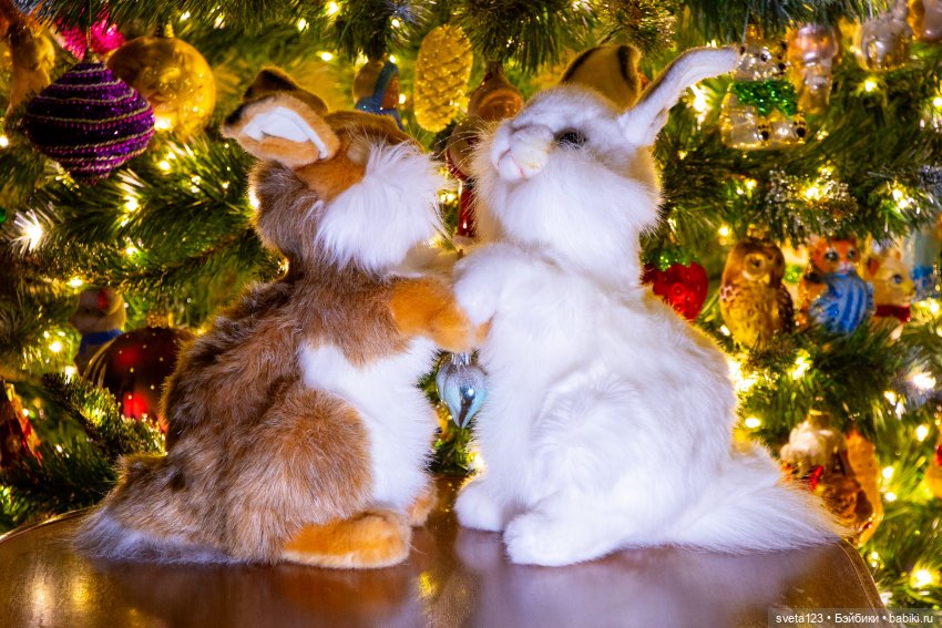 Мои любимые мягкие игрушки ❤️❤️❤️ | Бэйбики Мои любимые мягкие игрушки ❤️❤️❤️ (фото 2)