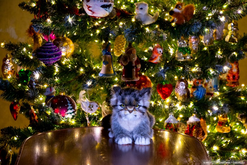 Мои любимые мягкие игрушки ❤️❤️❤️ | Бэйбики Мои любимые мягкие игрушки ❤️❤️❤️ (фото 9)