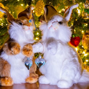 Мои любимые мягкие игрушки ❤️❤️❤️