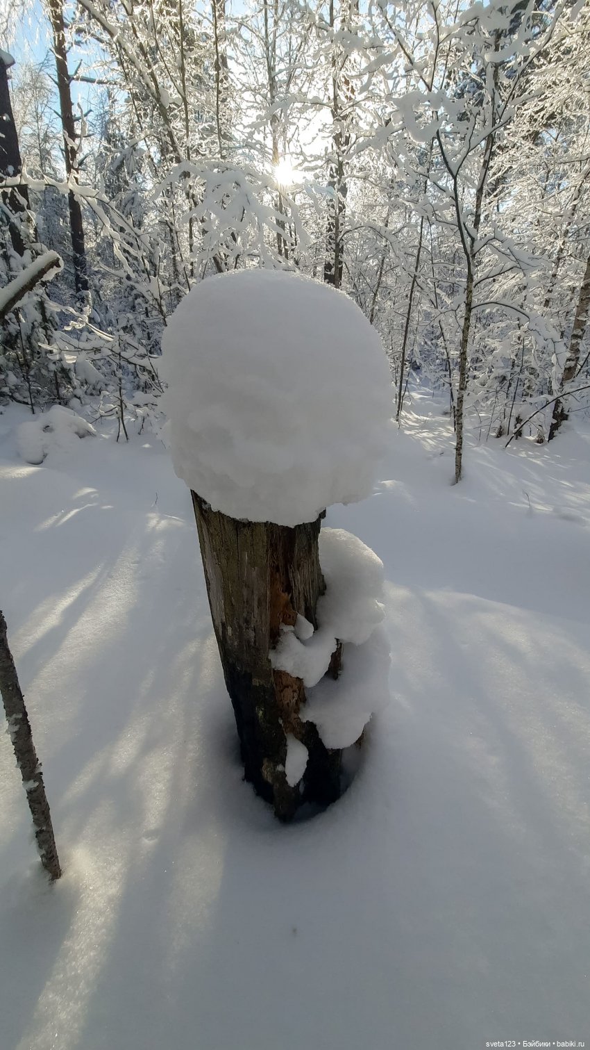 Розовый снег — Куклы Gotz (Готц): Ханна