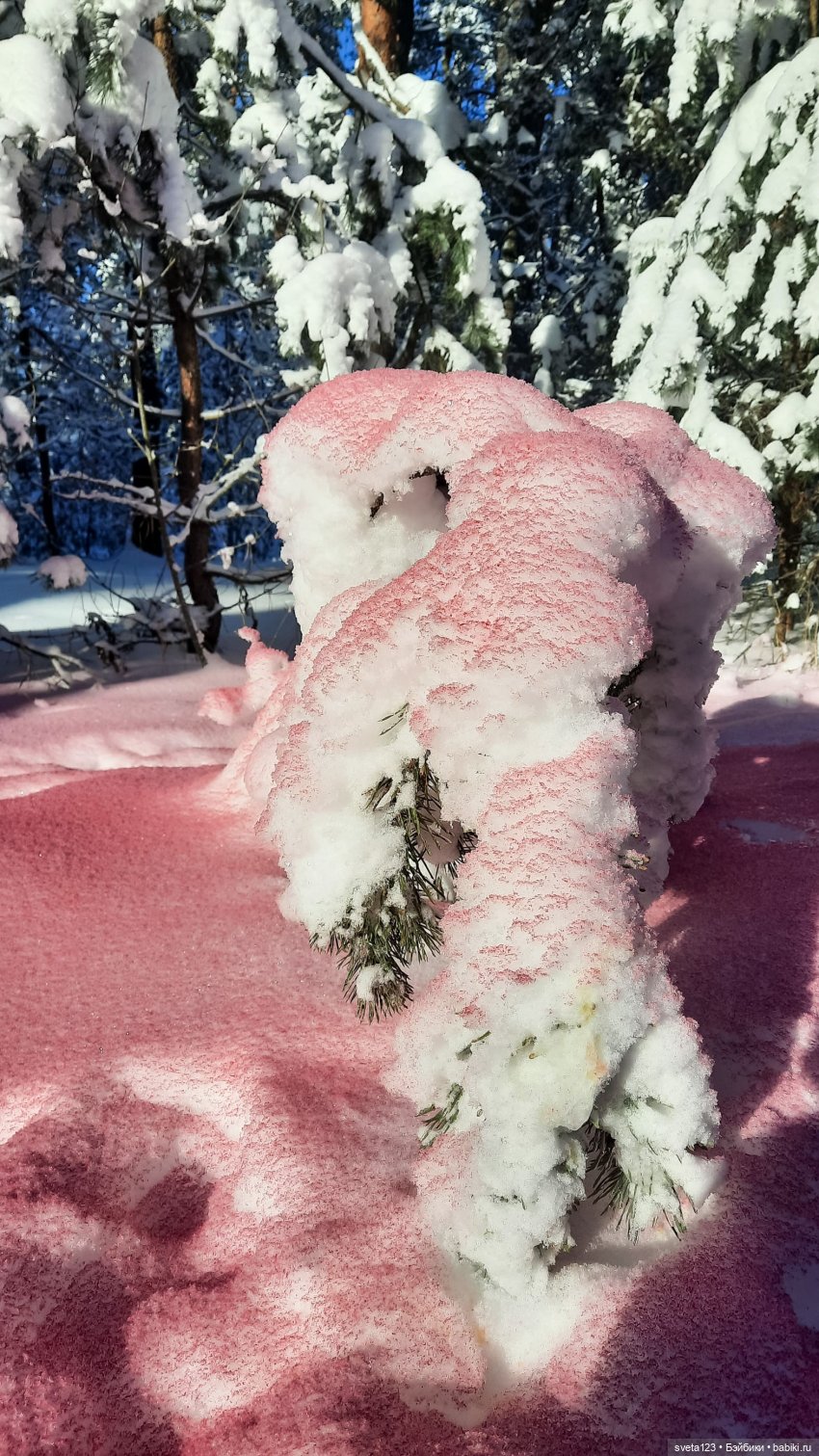 Розовый снег — Куклы Gotz (Готц): Ханна