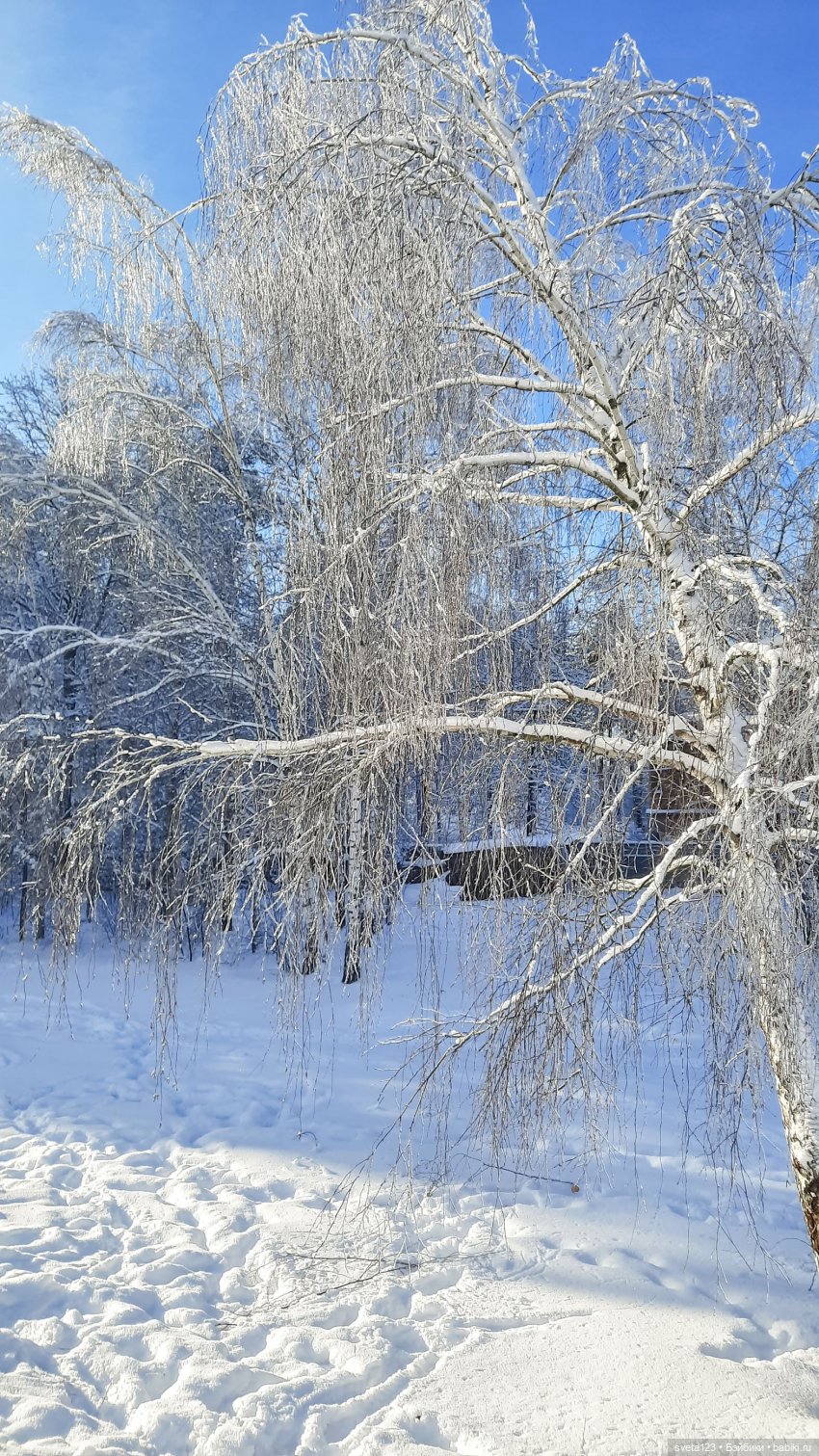 Розовый снег — Куклы Gotz (Готц): Ханна