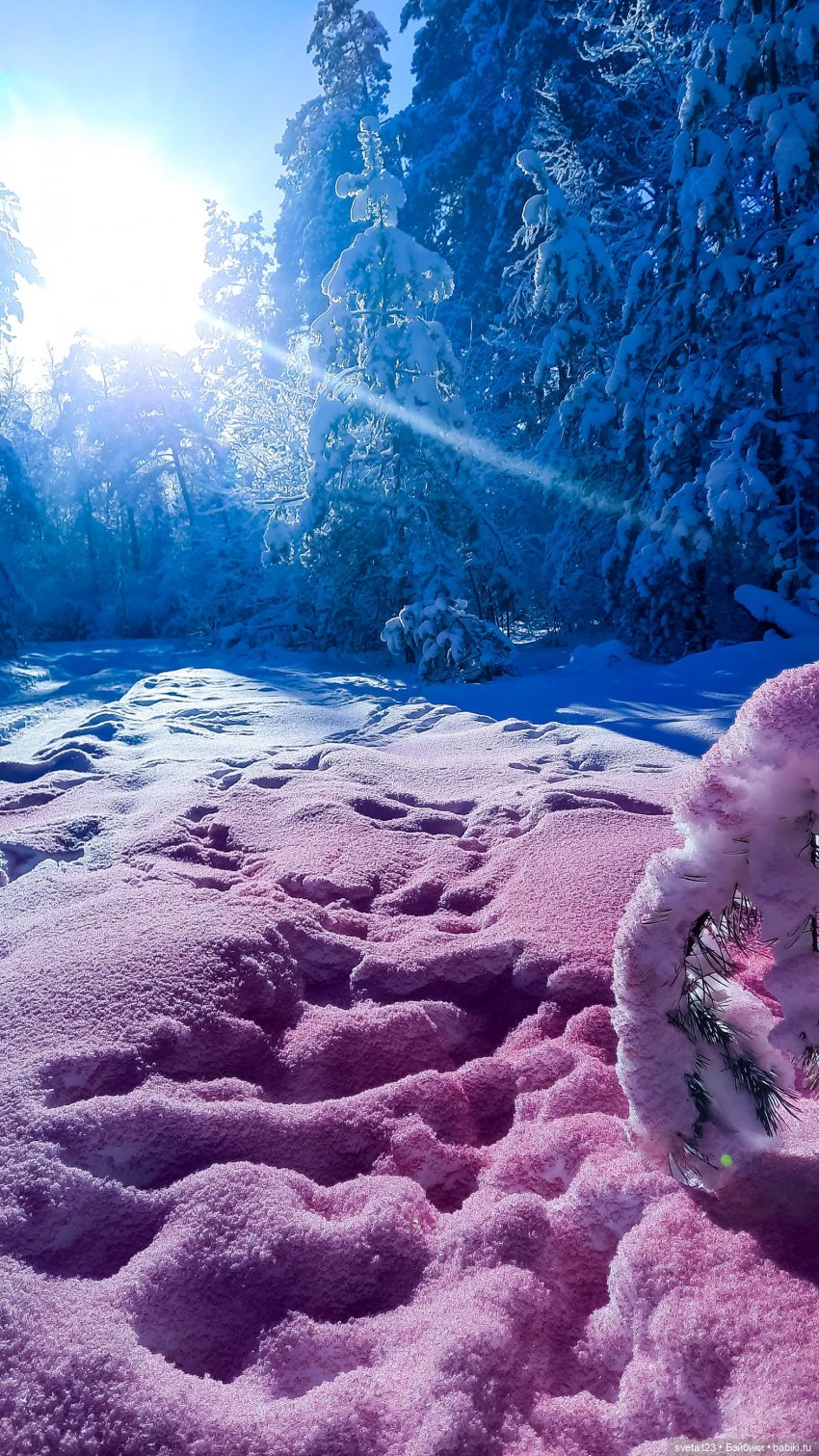 Розовый снег — Куклы Gotz (Готц): Ханна