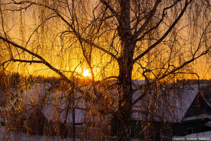 Розовый снег — Куклы Gotz (Готц): Ханна (фото 2)