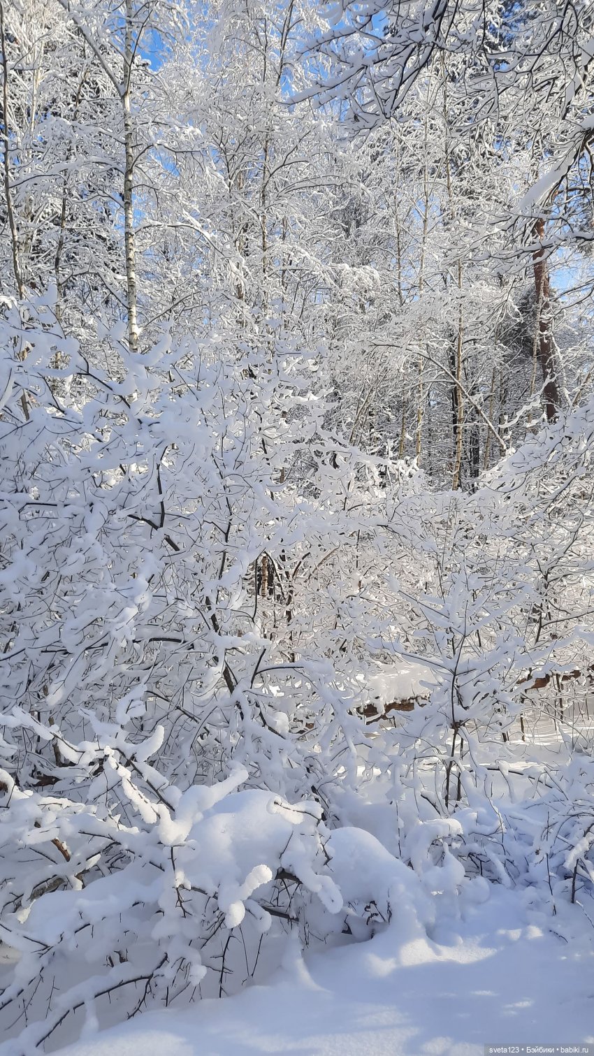 Розовый снег — Куклы Gotz (Готц): Ханна (фото 6)