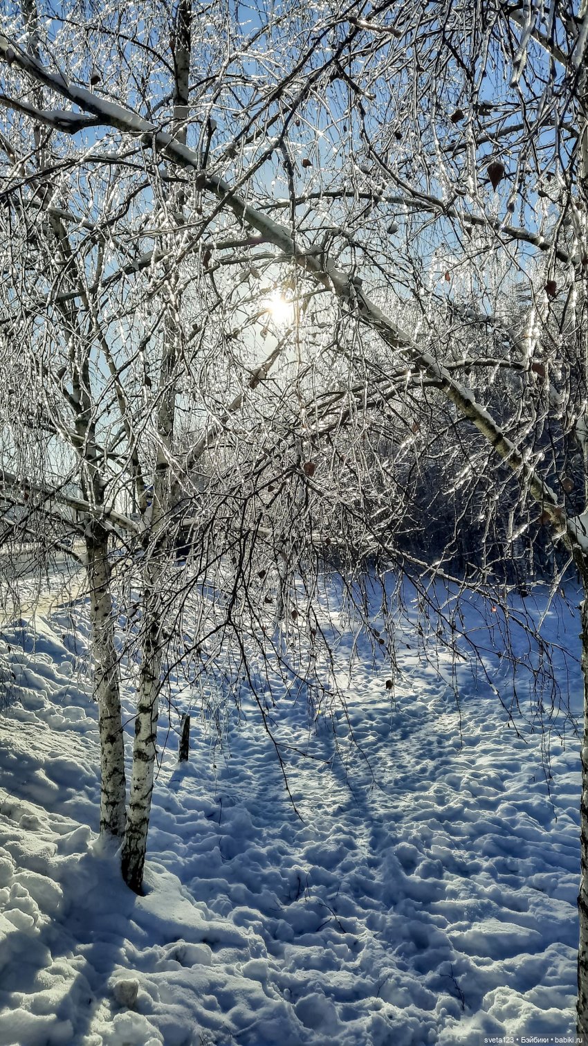 Розовый снег — Куклы Gotz (Готц): Ханна