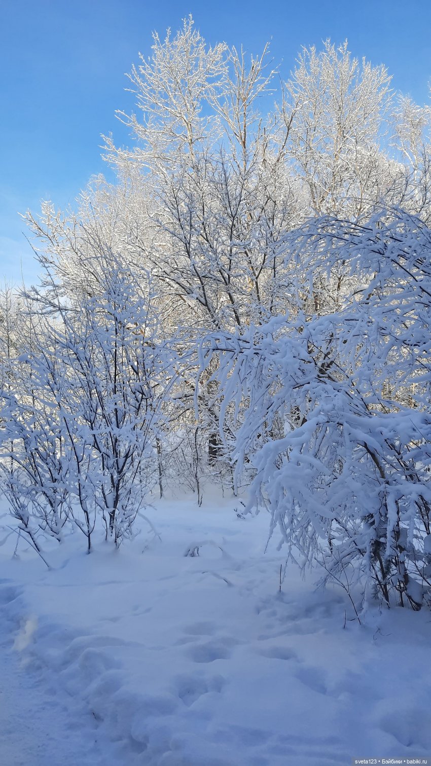 Розовый снег — Куклы Gotz (Готц): Ханна