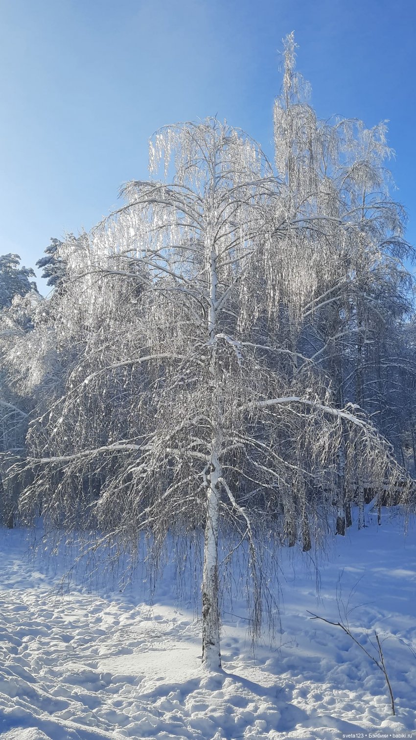 Розовый снег — Куклы Gotz (Готц): Ханна