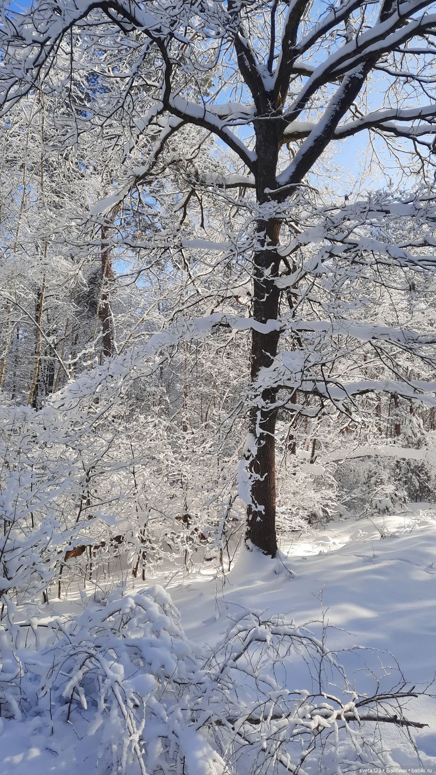 Розовый снег — Куклы Gotz (Готц): Ханна (фото 5)